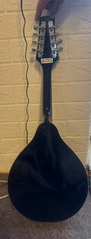 Mandolína Harley Benton - 2