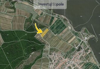 Prodej vinice v k.ú. Dolní Věstonice - 2
