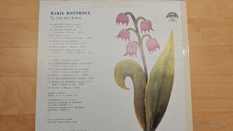 Marie Rottrová - Ty, kdo jdeš kolem - 2