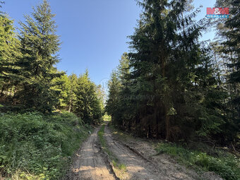 Prodej lesa, 23184 m², Milešov - 2