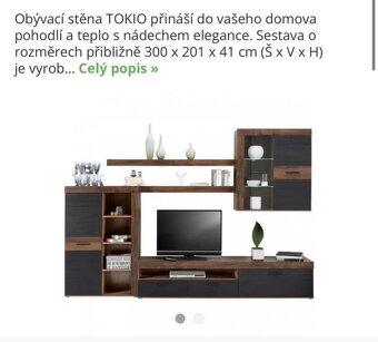 Obývací stěna - 2