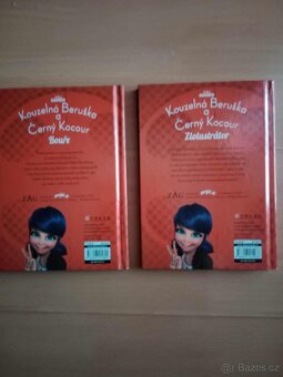 Kouzelná Beruška a Černý Kocour - 2 knihy - 2