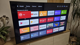 Televize Sony Bravia 49" KD-49XG8096 - 2