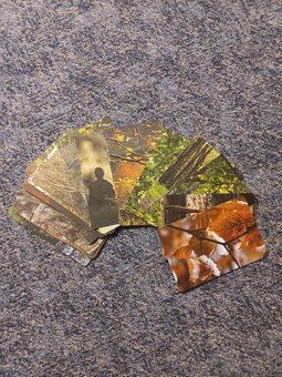 Karty lesní mysli - 2