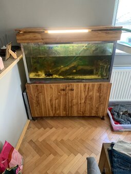 Akvarium - 2