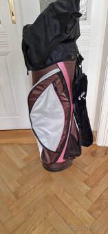 stand bag - 2