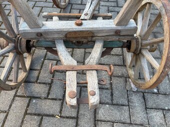Žebřiňák - 2