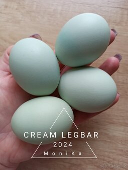 Násadová vajíčka Cream legbar - 2
