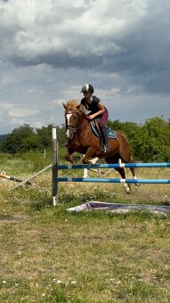 Pony kategorie B - 2