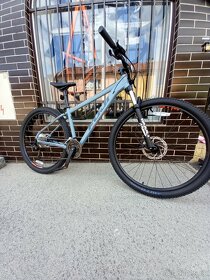 FUJI Nevada LTD 1.7  29"- SATIN GREY - 2