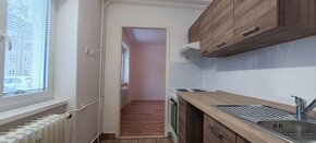 Meziboří_ 1+1_ přízemí_ po rekonstrukci_ Pronájem - 2