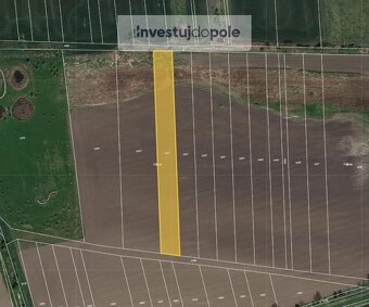 Prodej pole v k.ú. Hrušovany nad Jevišovkou - 2