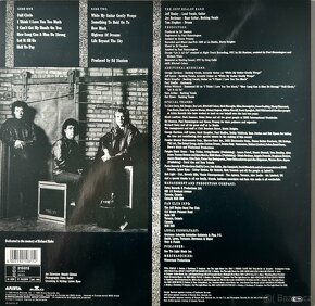 The Jeff Healey Band - Hell To Pay - 2