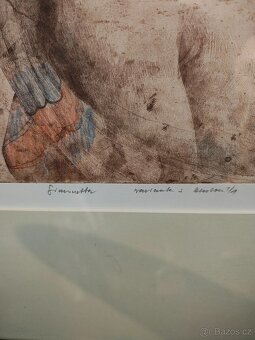 Jiří Anderle Simonetta - 2