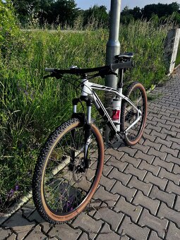 Specialized Rockhoper - 2