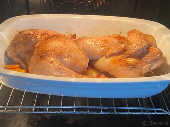 Domácí kuřata - 2