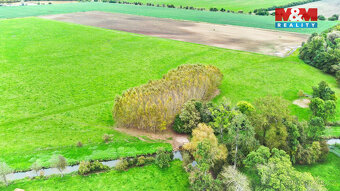 Prodej lesa, 1461 m², Skřivany - 2