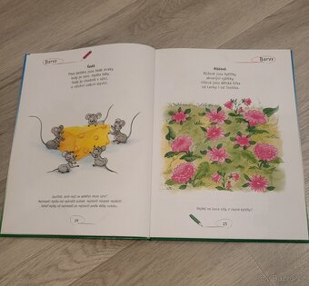 Předškolák-Moje první úkoly - 2