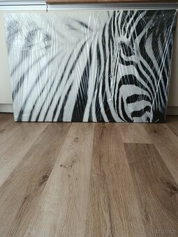 Obraz na plátně - 2