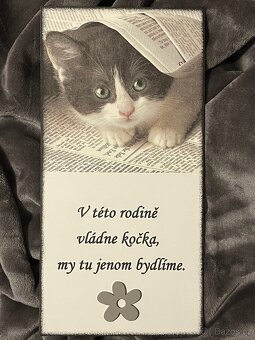 Cedulka (č.6) - 2