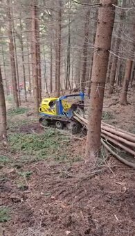 Prodam železný kůn Kapsen - 2