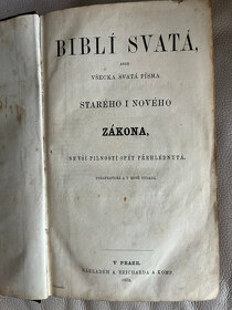 Bible z  roku 1873 - 2