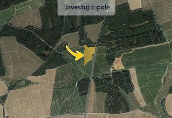 Prodej lesu v k.ú. Luženice - 2