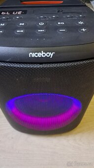 Party repro Niceboy 100W - 2