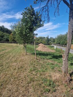 Pronajem zahrady - 2