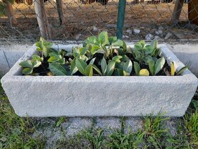 Betonový květináč, truhlík - 2