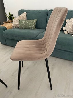 Jídelní židle Alan Velvet - 2