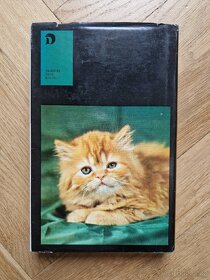 Kniha Kočky, kocouři a koťata - 2