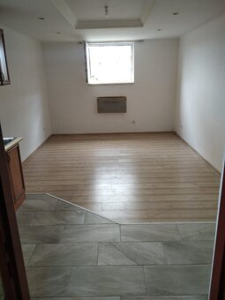 Pronájem, Byt 2+kk, 46m2, Jenišov -Karlovy Vary - 2