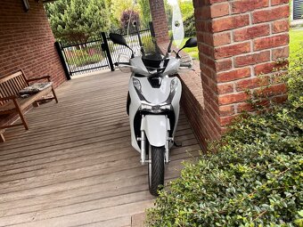 Honda sh 125 - 2