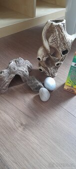 Potřeby pro akvaristy - 2