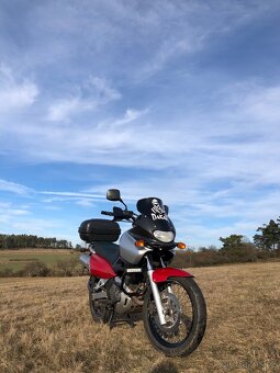 Suzuki xf 650 freewind - 2