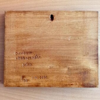 Lev Plastika Obrázek - 2