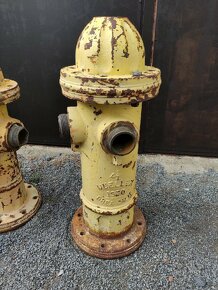 Americké hydranty - 2