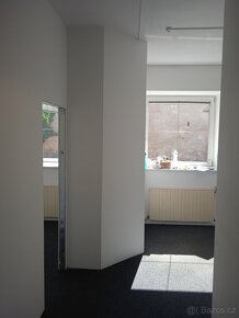 REKONSTRUKCE VAŠEHO BYTU, DOMU NEBO KANCELÁŘE? PŘESNĚ PODLE - 2