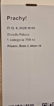 Divadlo Palace čtvrtek 12.6. představení Prachy - 2
