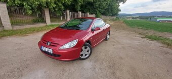 Peugeot 307 (cc) 1.6 LPG 2005 - 2
