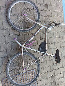 Pánské kolo Winora - 2