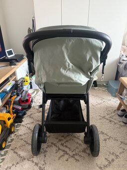 Sportovní kočárek ABC Design Avus Pine 2023 - 2