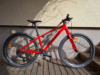 Author Champion 26 - 2