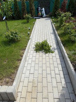 Zámková dlažba betonová best 4 cm šedá - 2