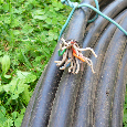Kabel + pilové kotouče - 2