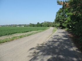 Pozemky p.č. 5003/4 a 5004/1 v k.ú. Brodce nad Jizerou - 2