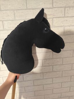 Hobby horse - 2