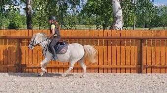 Dva WPB pony - 2