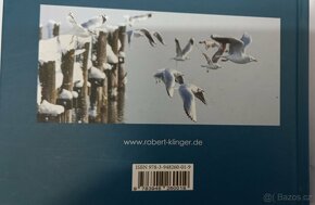 Robert Klimger Der Ammersee - 2